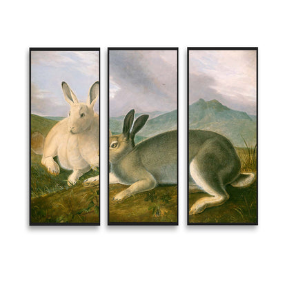 Arctic Hare by John J. Audubon  | Choose Style | Size & Trim Color