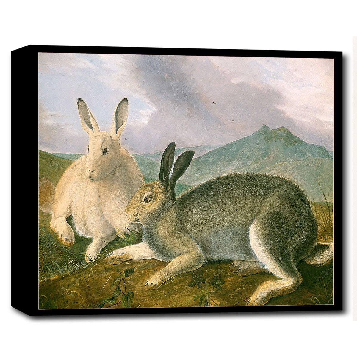 A printed art piece featuring two rabbits in a natural landscape setting, framed in a black frame.