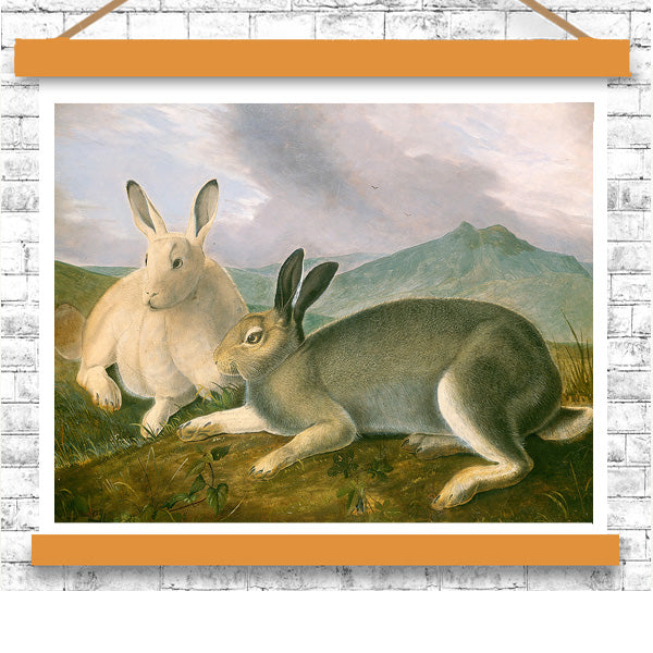 Arctic Hare by John J. Audubon