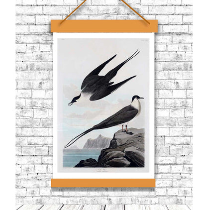 A framed print of two birds perched on rocks, with a black border and a white background.