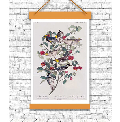 A framed print featuring illustrations of birds perched on branches with leaves and berries, in portrait orientation.