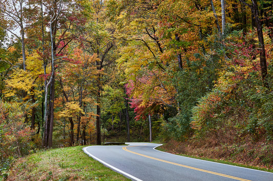 Autumn splendor in the Tennessee