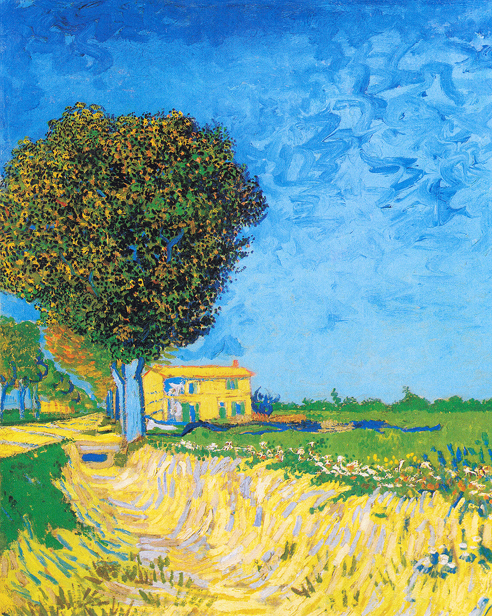 Avenue at Arles with houses (1888) by Vincent Van Gogh - Buy Print Only or Mounted with Choice of Accent Color