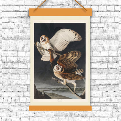 Barn Owl by John J. Audubon