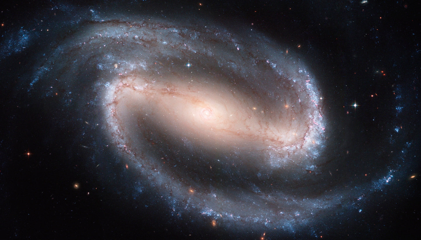 Barred Spiral Galaxy NGC 1300