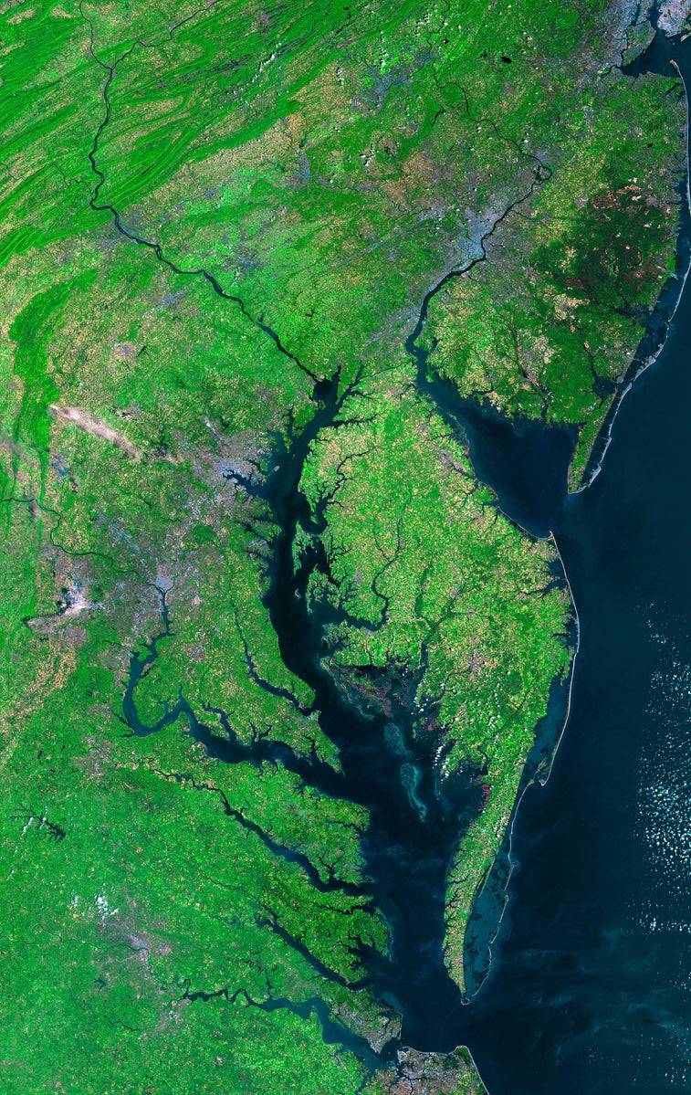 Beautiful new mosaic of Chesapeake Bay