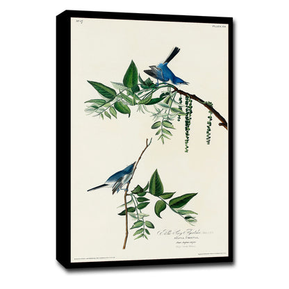 A framed print of two blue-grey fly-catchers perched on a branch with leaves, displayed in a vertical orientation.