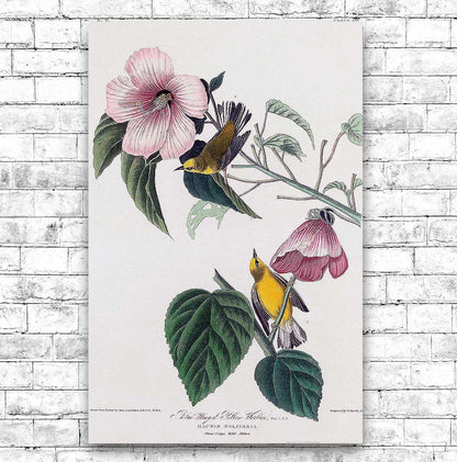 A framed print depicting a bird, specifically the Blue-winged Yellow Warbler, surrounded by floral elements. The frame appears to be black, and the print is presented in a portrait orientation.