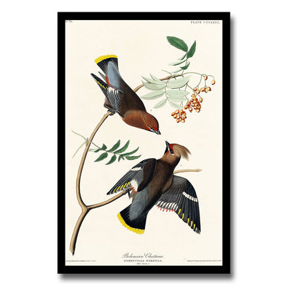 Blue-winged Yellow Warbler by John J. Audubon