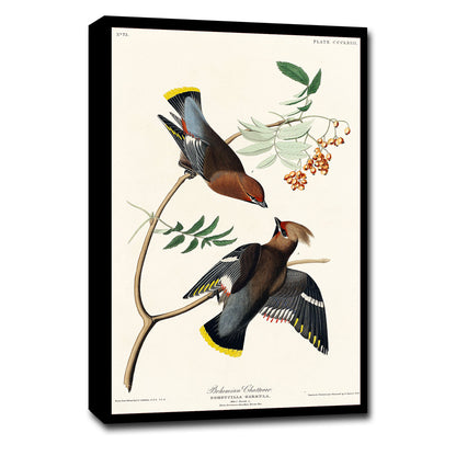A printed art piece featuring two birds on a branch, with a white background and a black frame.
