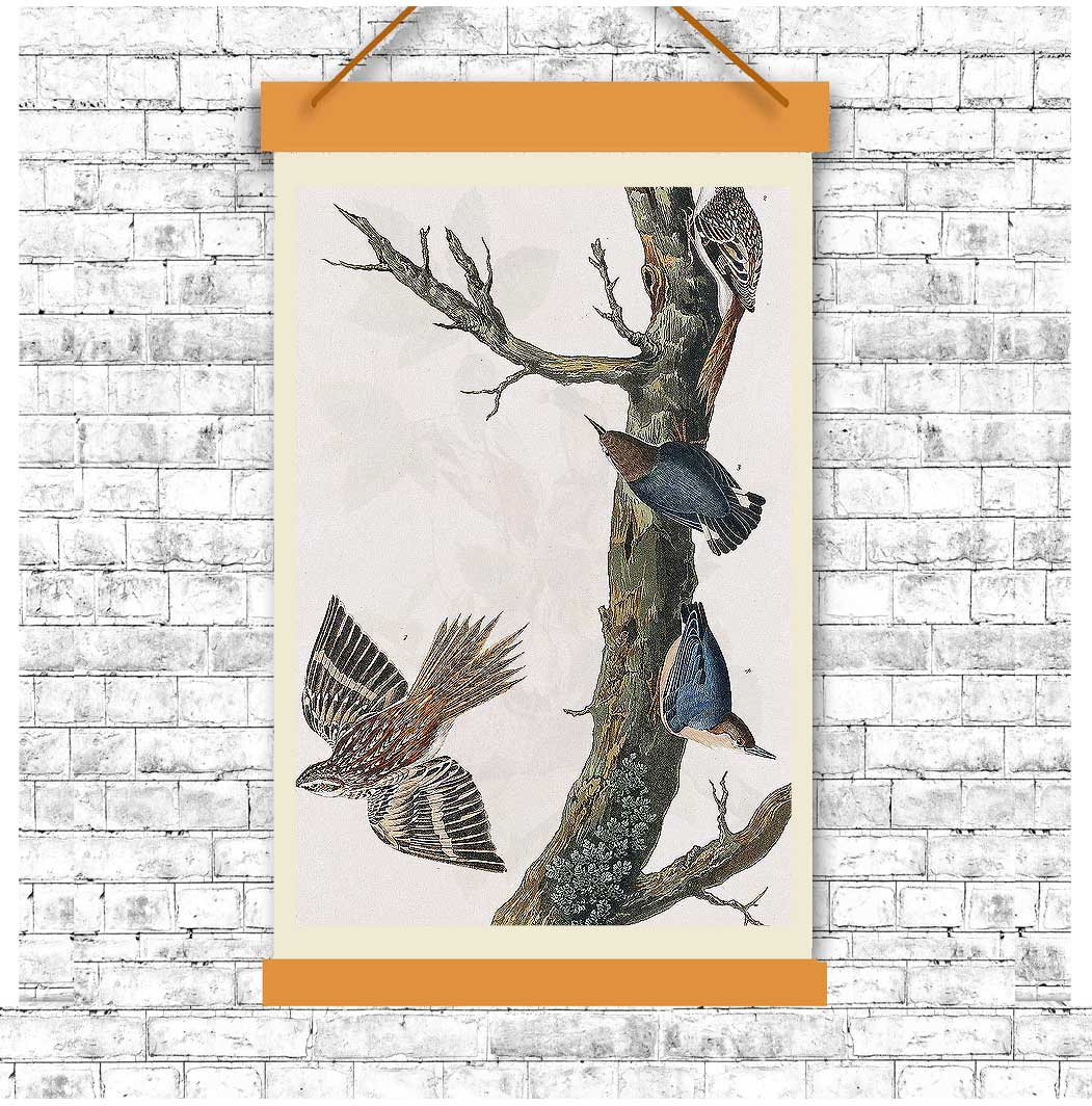 Brown Creeper and Californian Nuthatch by John J. Audubon