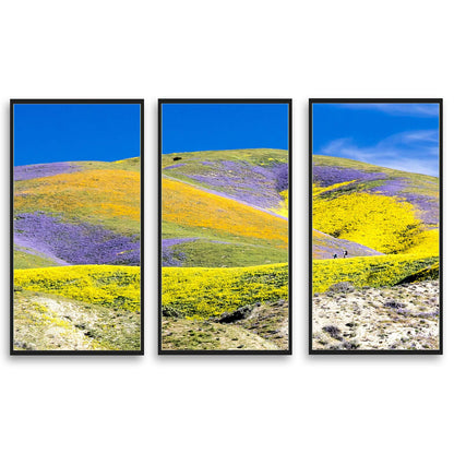 Carrizo Plain National Monument  | Choose Style | Size & Trim Color