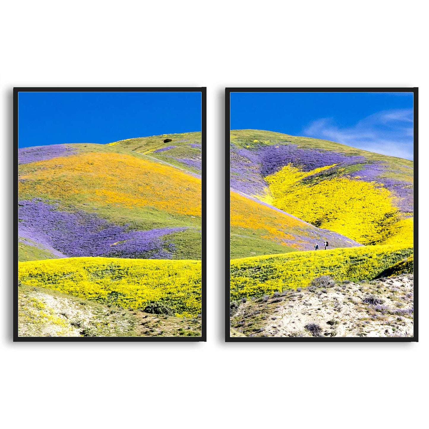 Carrizo Plain National Monument  | Choose Style | Size & Trim Color
