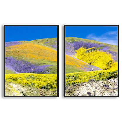 Carrizo Plain National Monument  | Choose Style | Size & Trim Color