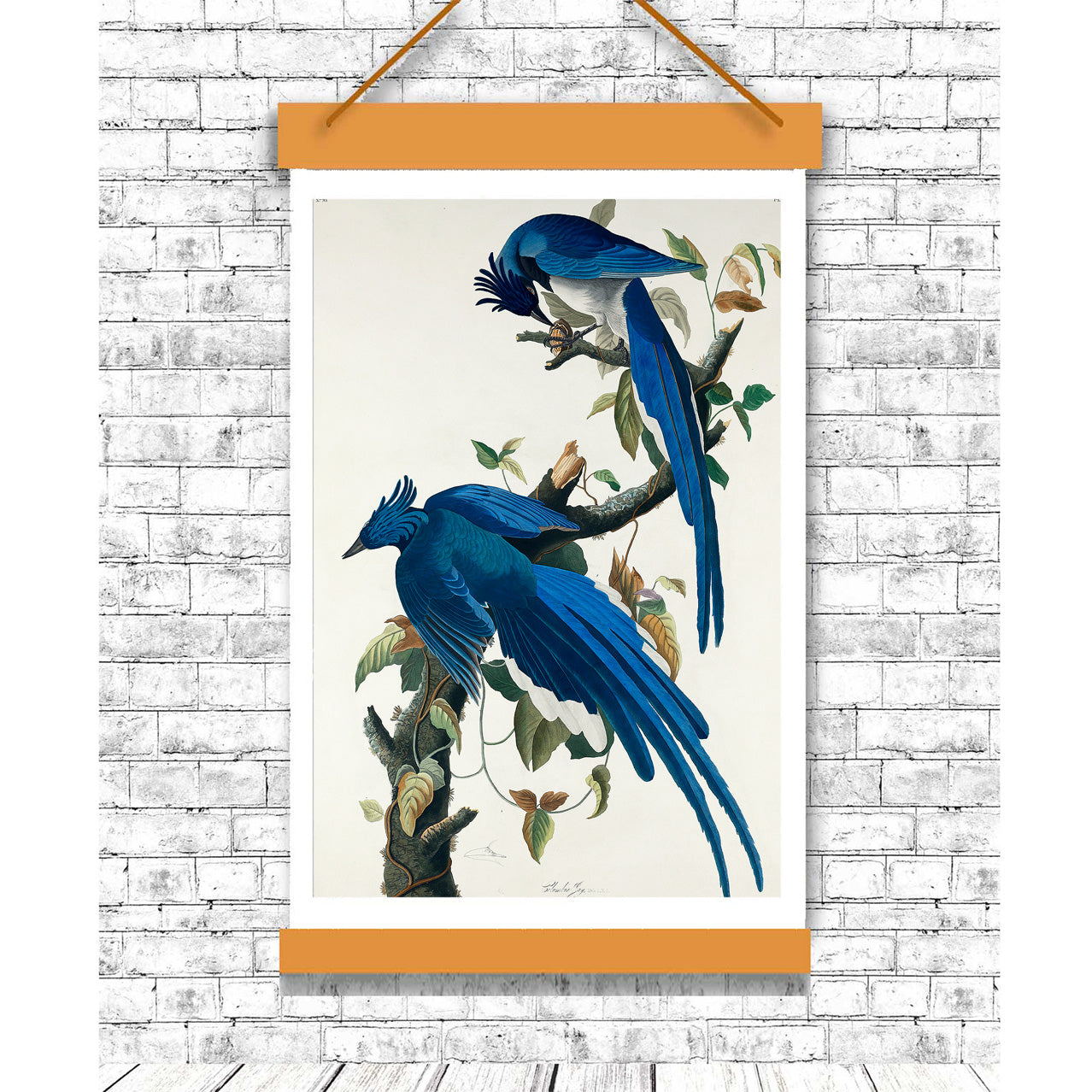 A printed art piece featuring two blue birds perched on branches with leaves, framed in a simple black frame.