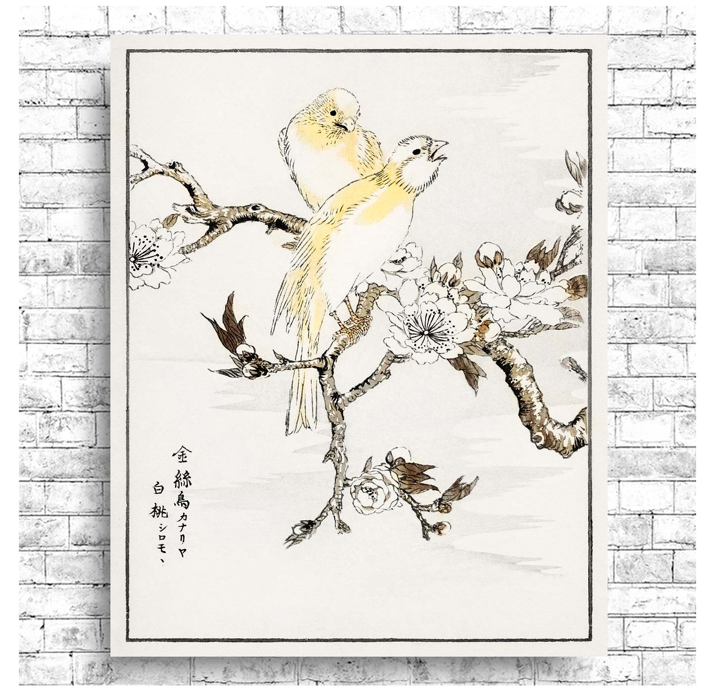 Canary and Peach by Numata Kashyu - Buy Print Only or Mounted with Choice of Accent Color