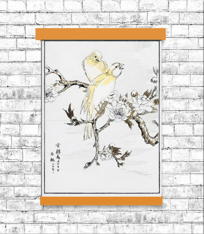 Canary and Peach by Numata Kashyu - DO