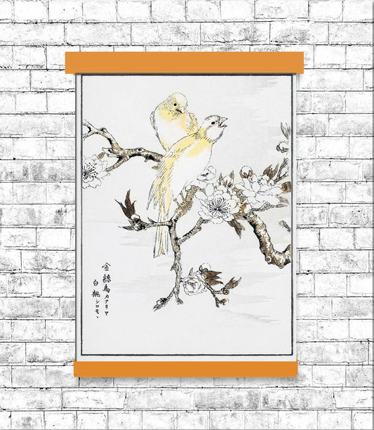 Canary and Peach by Numata Kashyu - DO
