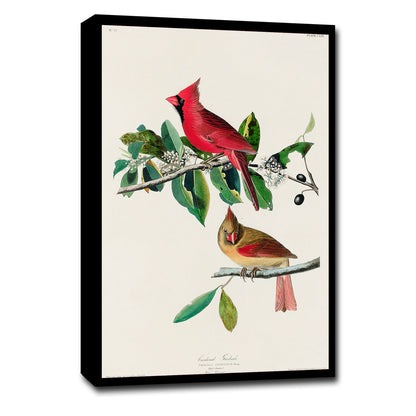 A framed print featuring two cardinals perched on a branch, with a black border and wooden frame.
