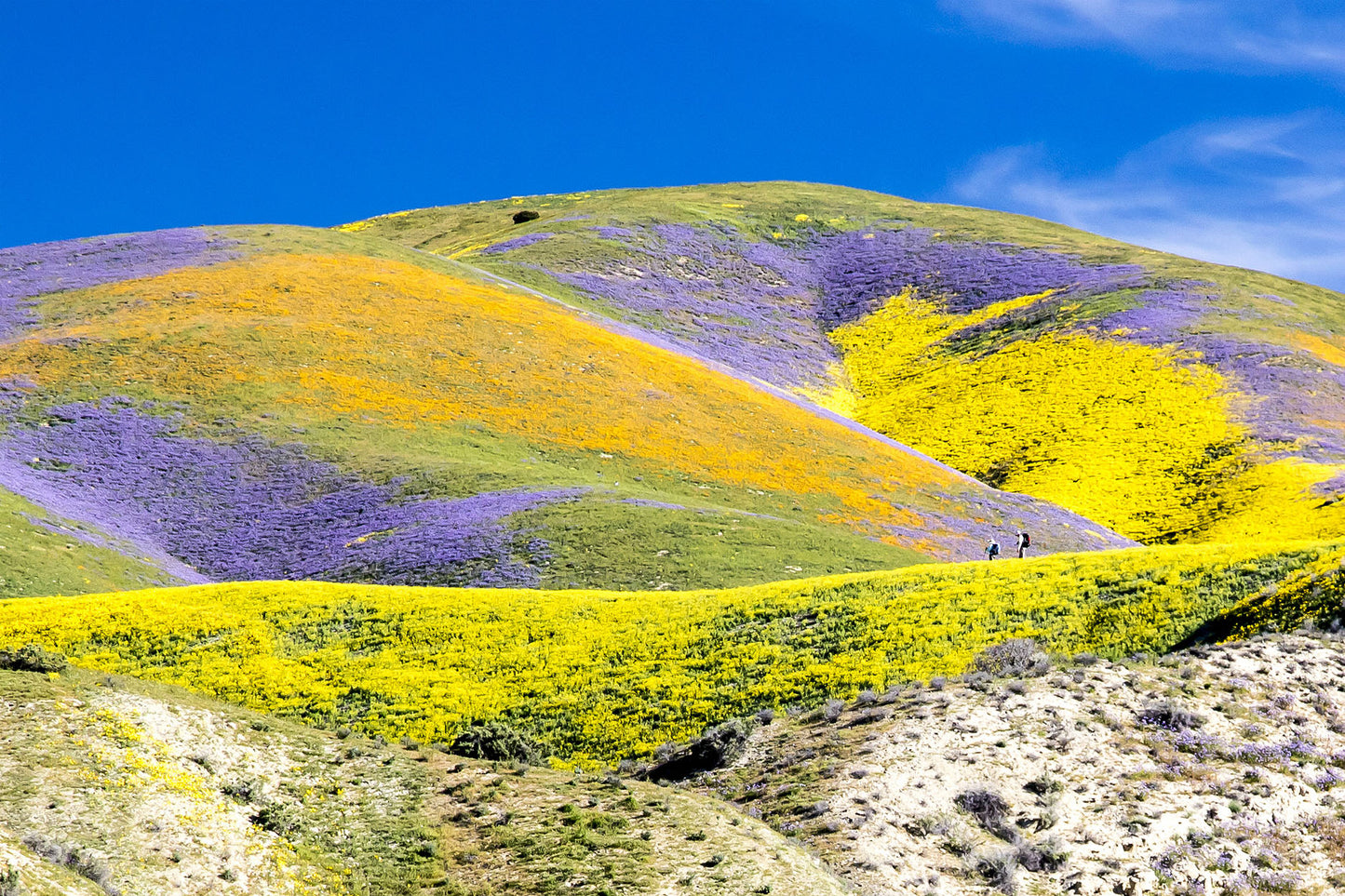 Carrizo Plain National Monument