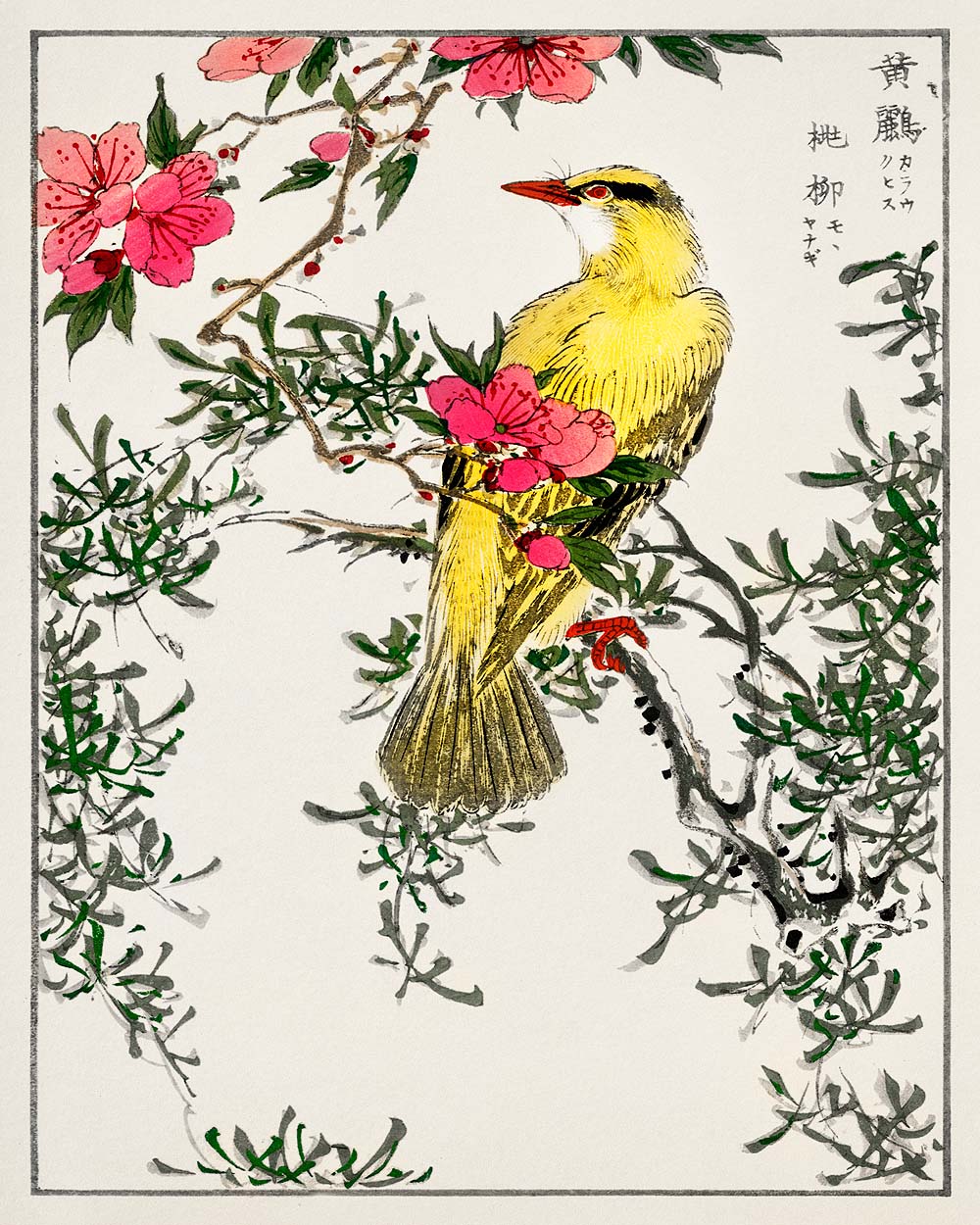 A traditional Japanese woodblock print featuring a yellow bird among pink flowers and green foliage.