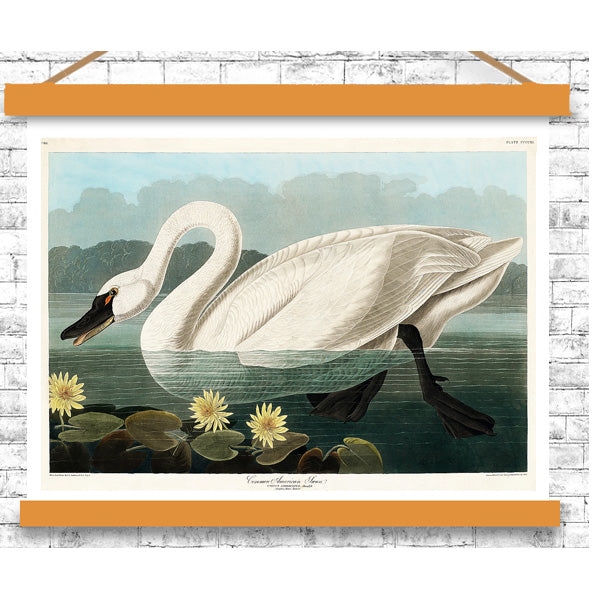 Framed artwork of a swan on water with lilies, against a white brick wall.
