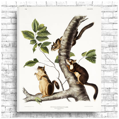 A framed print depicting two squirrels on a tree branch with leaves, in shades of beige, brown, and green on a white background.