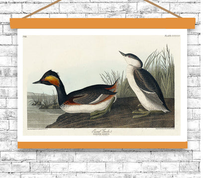 Vintage-style illustration of two ducks on a white brick wall background
