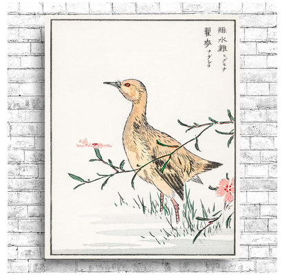 Eastern Redshank and Pink Flower by Numata Kashyu - Buy Print Only or Mounted with Choice of Accent Color