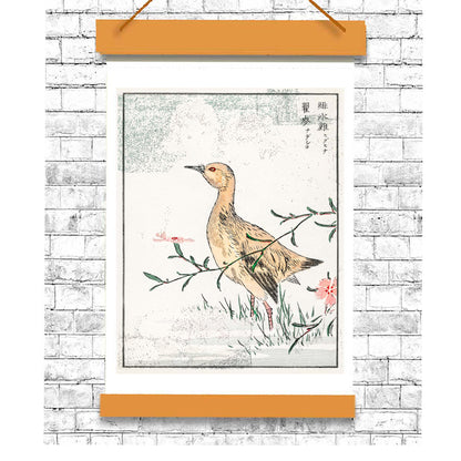 Eastern Redshank and Pink Flower by Numata Kashyu - Buy Print Only or Mounted with Choice of Accent Color