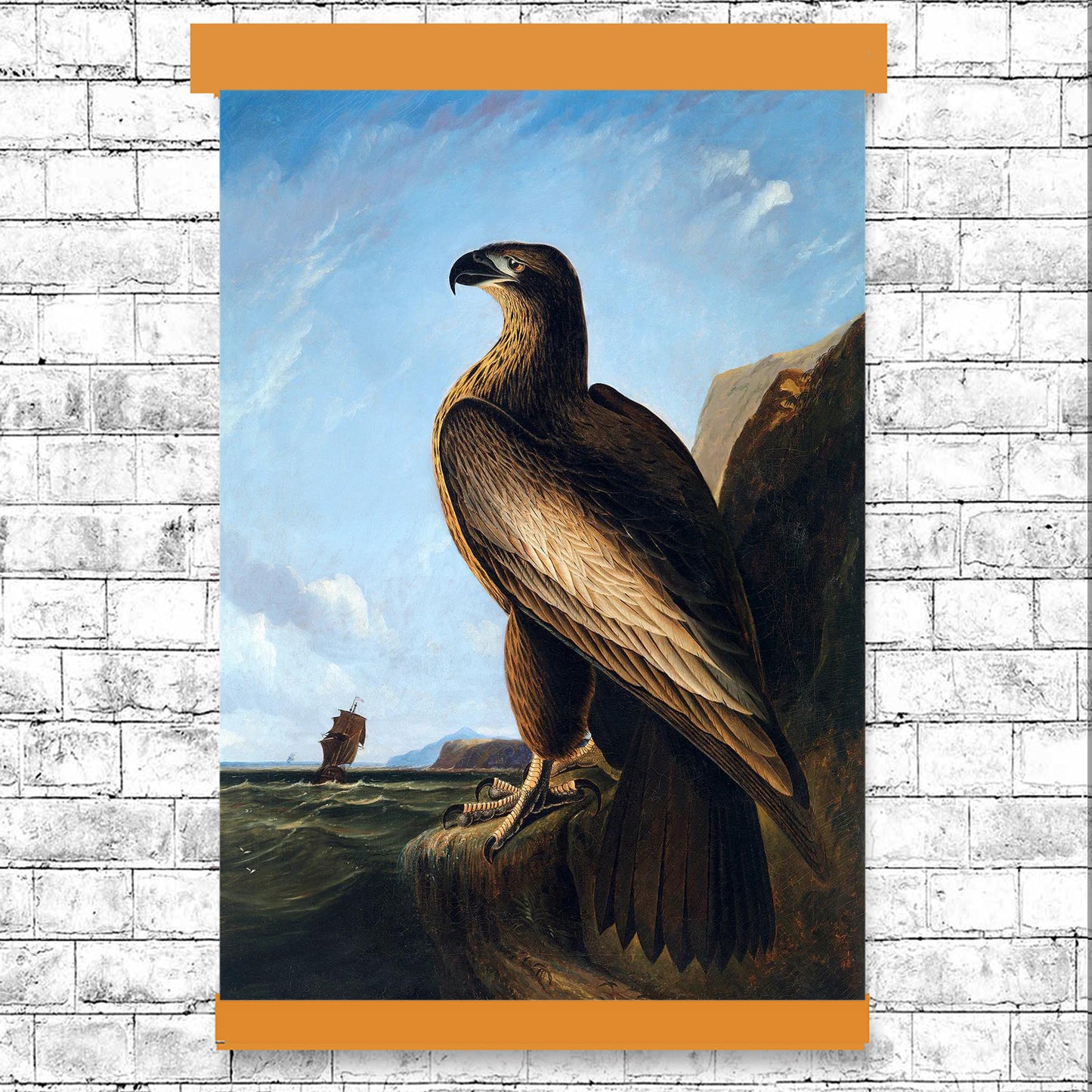 Washington Sea Eagle by John J. Audubon