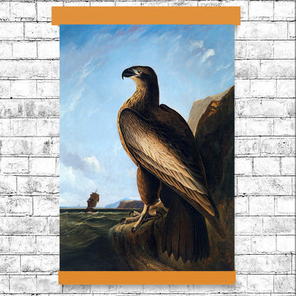 Washington Sea Eagle by John J. Audubon