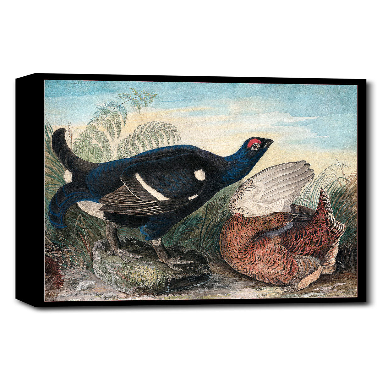 A printed art piece featuring two birds, one black and one brown, with a black frame around the image.