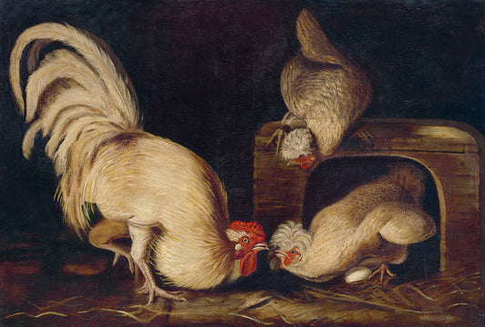 Farmyard Fowls (ca. 1827) by John James Audubon