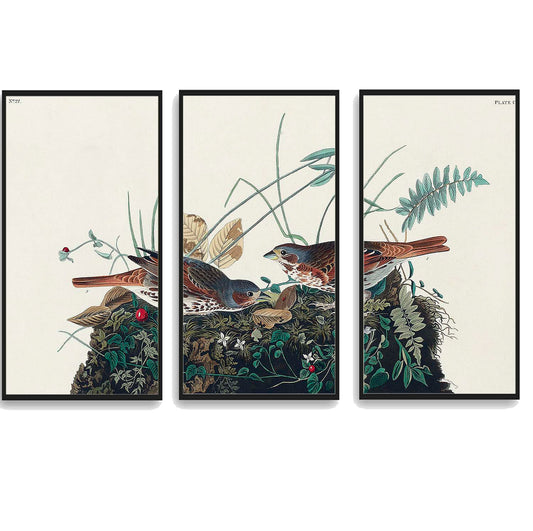 Fox-coloured Sparrow by John J. Audubon  | Choose Style | Size & Trim Color