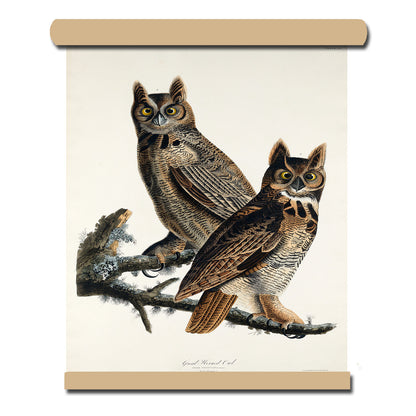 Great Horned Owl by John J. Audubon