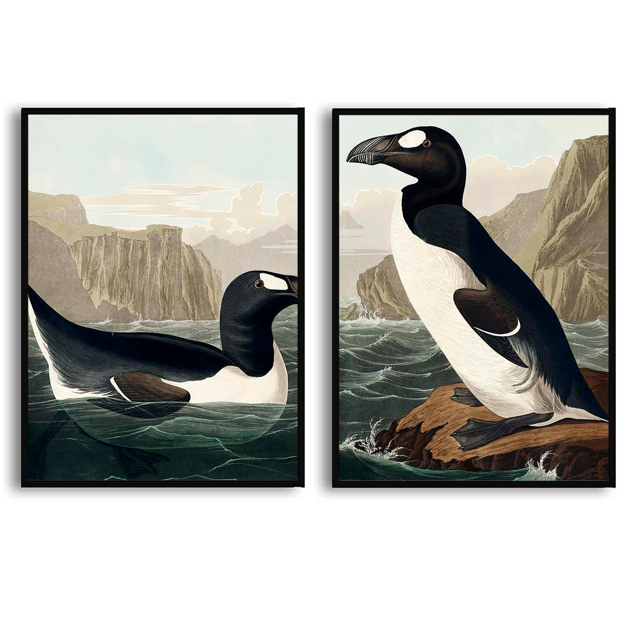 Great Auk by John J. Audubon  | Choose Style | Size & Trim Color
