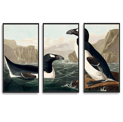 Great Auk by John J. Audubon  | Choose Style | Size & Trim Color
