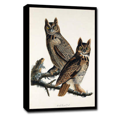 A framed print of two great horned owls perched on a branch, after John J. Audubon.