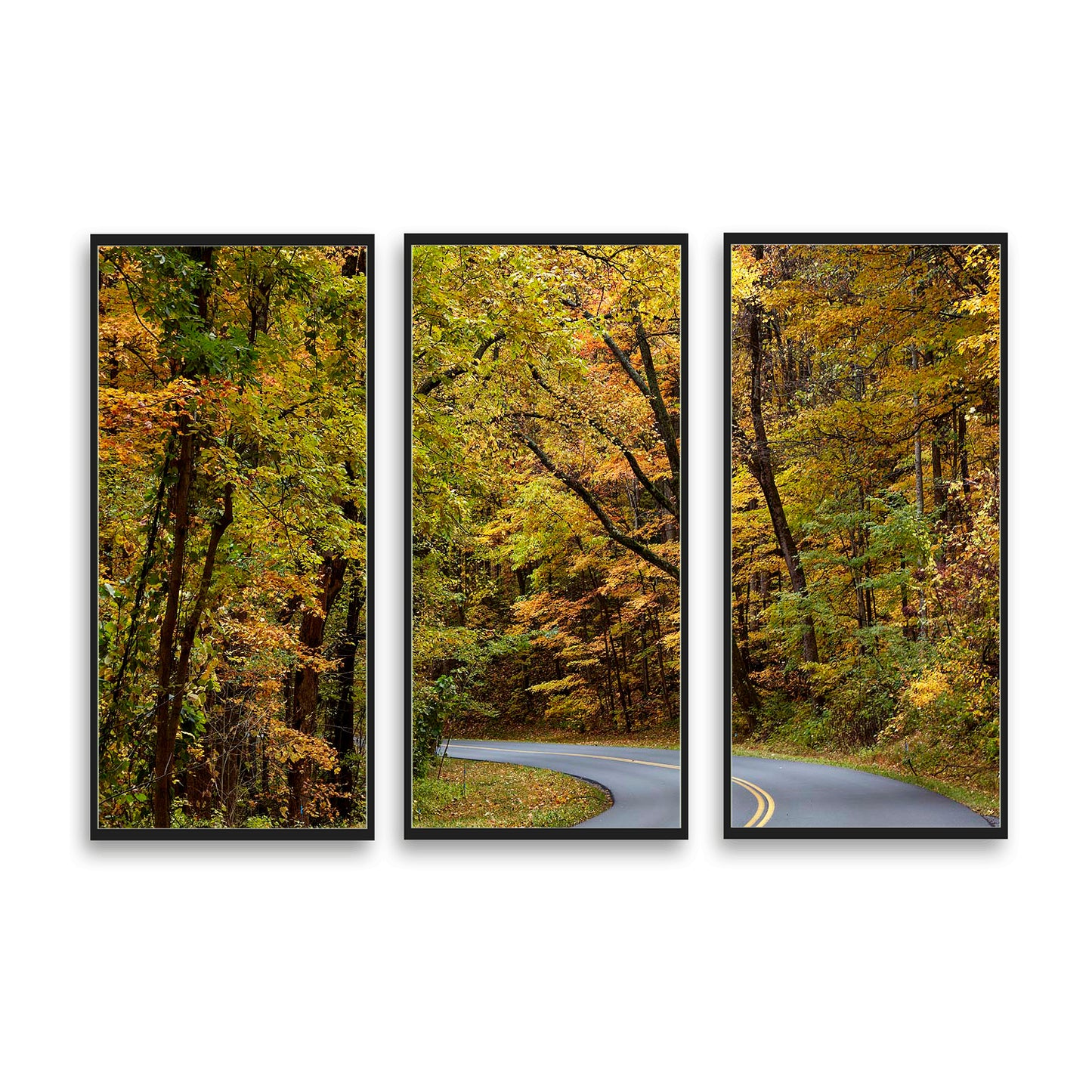 Great Smokey Mountains  | Choose Style | Size & Trim Color