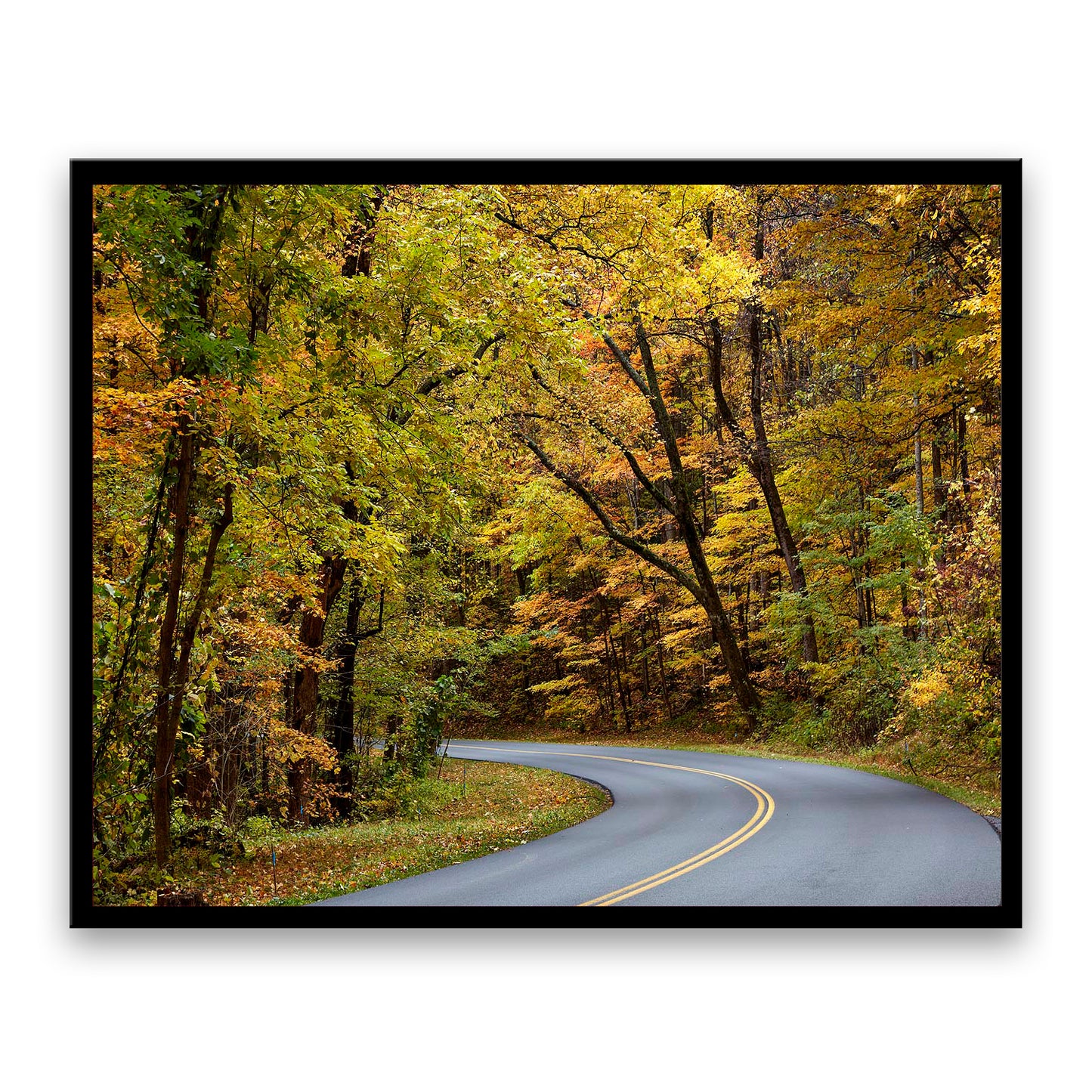 Great Smokey Mountains  | Choose Style | Size & Trim Color