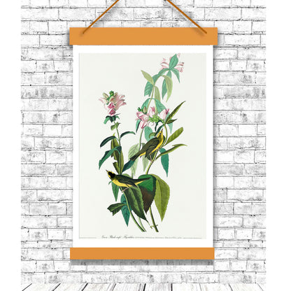 A framed print of a bird, identified as a Green Black-Capt Flycatcher, perched on a branch with leaves and flowers in the background.