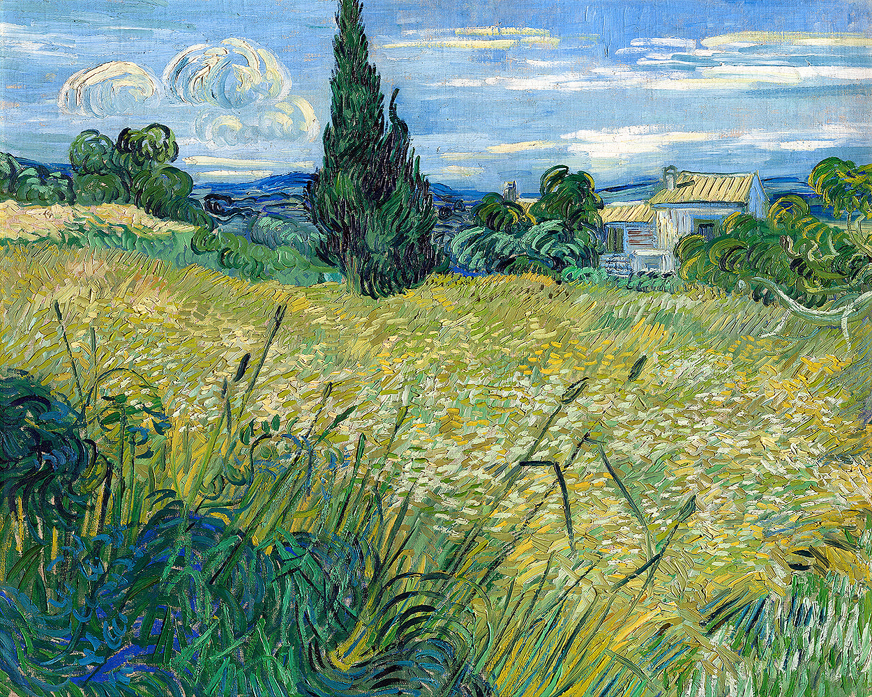 Green Wheat Field with Cypress (1889) by Vincent van Gogh - Buy Print Only or Mounted with Choice of Accent Color