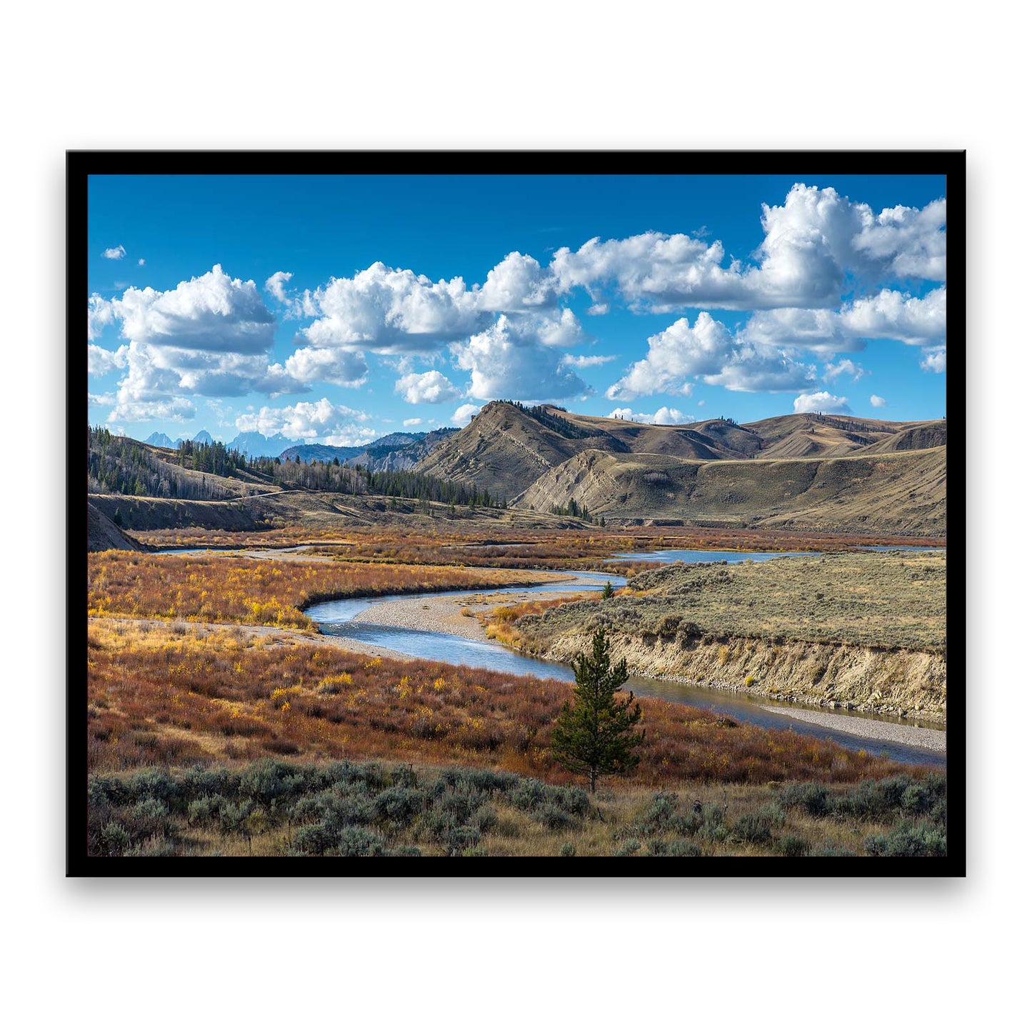 Gros Ventre Valley  | Choose Style | Size & Trim Color