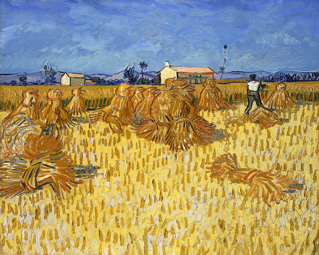 Harvest in Provence (1888) by Vincent van Gogh - Buy Print Only or Mounted with Choice of Accent Color