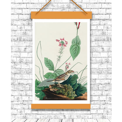 Henslow's Bunting by John J. Audubon