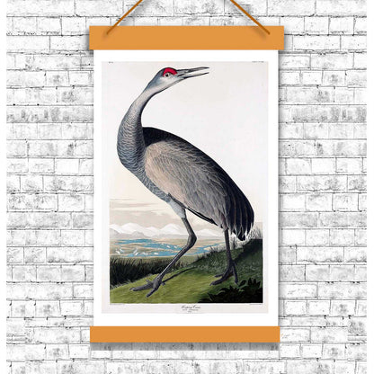 A framed print of a hooping crane with head up, featuring realistic colors and detailing on the bird, set in a portrait orientation.