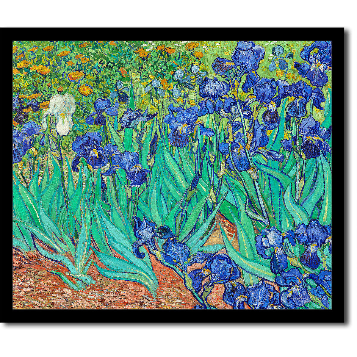 Irises (1889) by Vincent van Gogh - Buy Print Only or Mounted with Choice of Accent Color