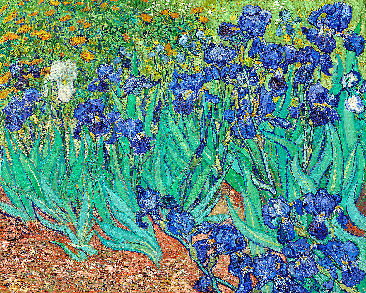 Irises (1889) by Vincent van Gogh - Buy Print Only or Mounted with Choice of Accent Color