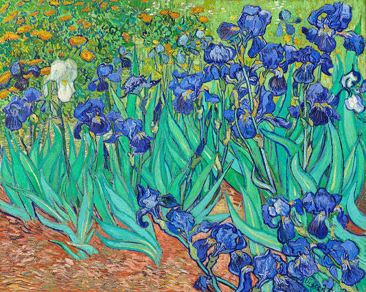 Irises (1889) by Vincent van Gogh - Buy Print Only or Mounted with Choice of Accent Color